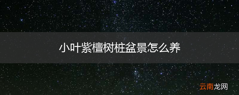 小叶紫檀树桩盆景怎么养