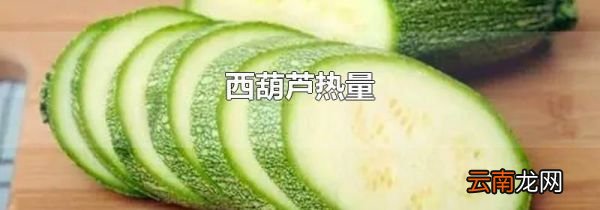 西葫芦热量
