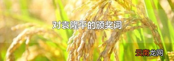 对袁隆平的颁奖词