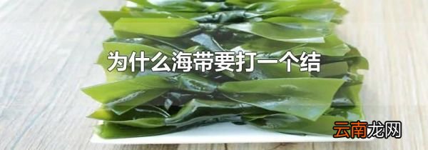 为什么海带要打一个结