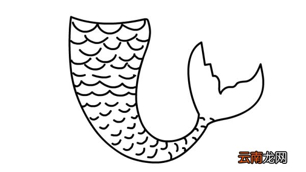 尾巴简笔画