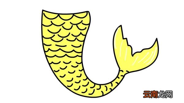 尾巴简笔画
