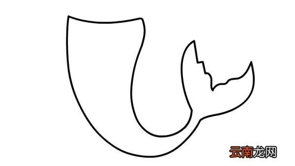 尾巴简笔画