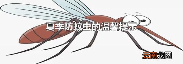夏季防蚊虫的温馨提示