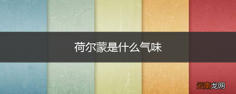 荷尔蒙是什么气味