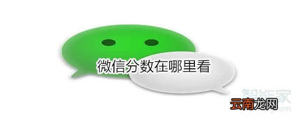 微信分数在哪里看