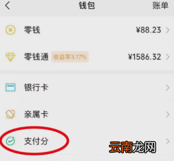 微信分数在哪里看