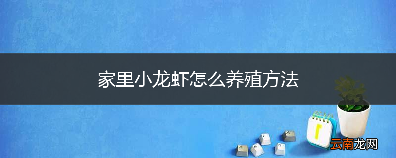 家里小龙虾怎么养殖方法