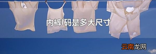 内裤l码是多大尺寸