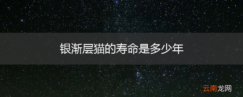 银渐层猫的寿命是多少年