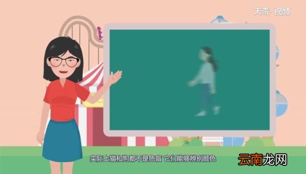 猫和狗哪个是色盲猫和狗哪个是色盲