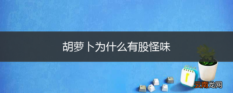 胡萝卜为什么有股怪味