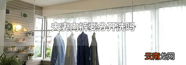 夫妻内裤要分开洗吗