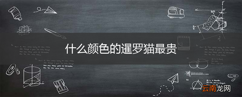 什么颜色的暹罗猫最贵