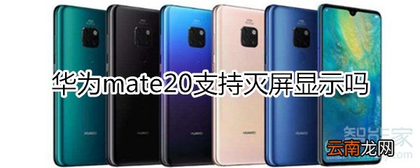 mate20支持灭屏显示吗