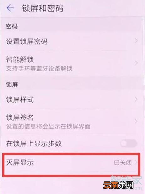 mate20支持灭屏显示吗