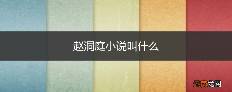 赵洞庭小说叫什么