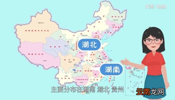 土家族在哪个省 土家族主要分布在哪个地区