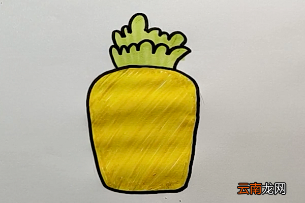 菠萝简笔画