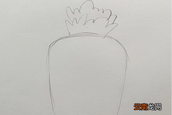 菠萝简笔画