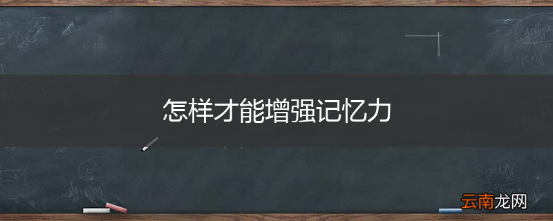 怎样才能增强记忆力