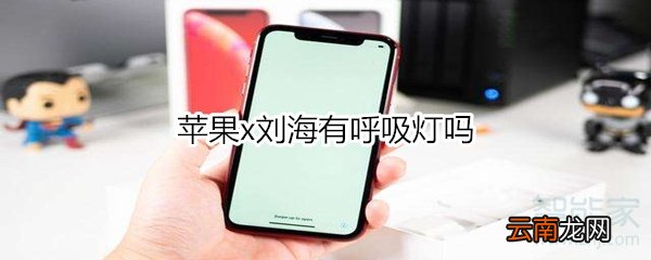 苹果x刘海有呼吸灯吗