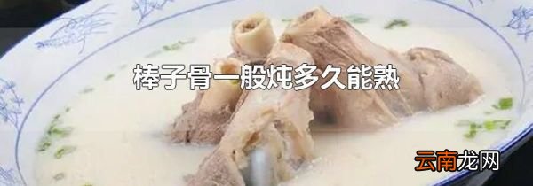 棒子骨一般炖多久能熟