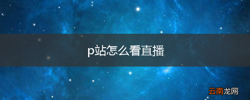 p站怎么看直播