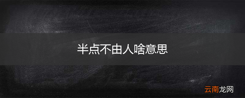 半点不由人啥意思