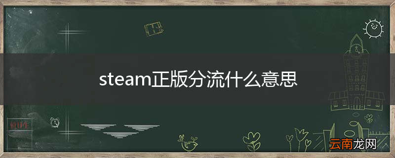 steam正版分流什么意思