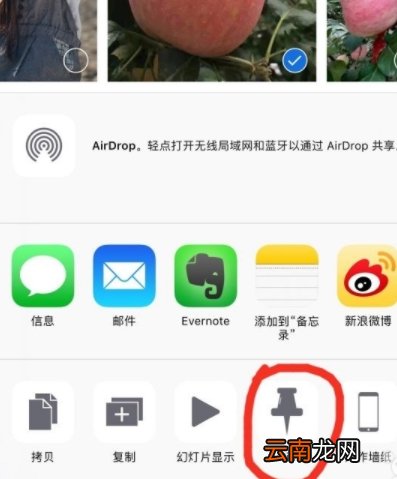 苹果手机照片怎么查看分辨率