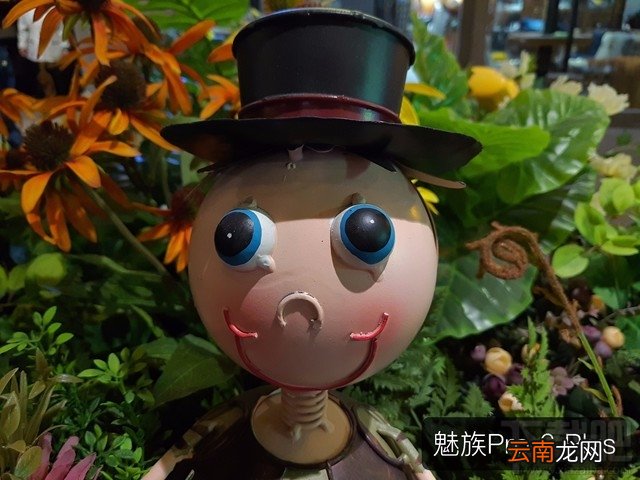 魅族Pro6Plus和vivo X9哪个拍照好?两者像素比较