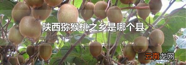 陕西猕猴桃之乡是哪个县