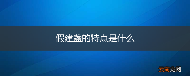假建盏的特点是什么