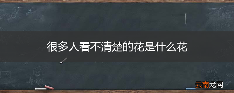 很多人看不清楚的花是什么花