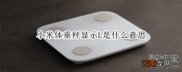 小米体重秤显示L是什么意思