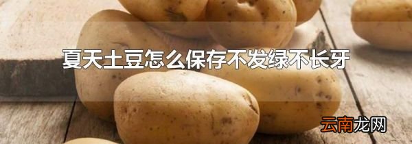 夏天土豆怎么保存不发绿不长牙