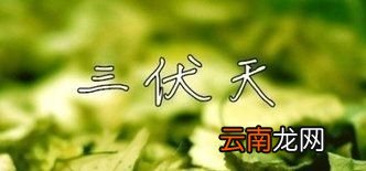 2019年三伏天是什么时候？