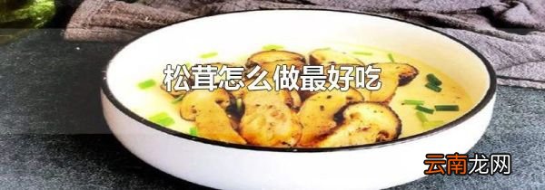 松茸怎么做最好吃
