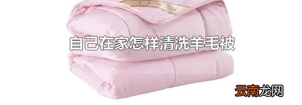 自己在家怎样清洗羊毛被