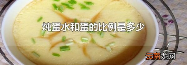 炖蛋水和蛋的比例是多少