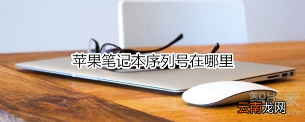 苹果笔记本序列号在哪里
