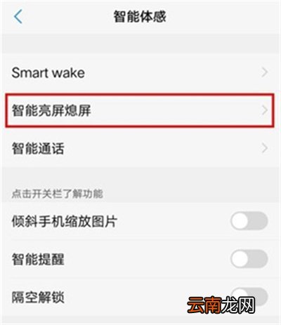vivox21i设置抬手亮屏的具体操作步骤