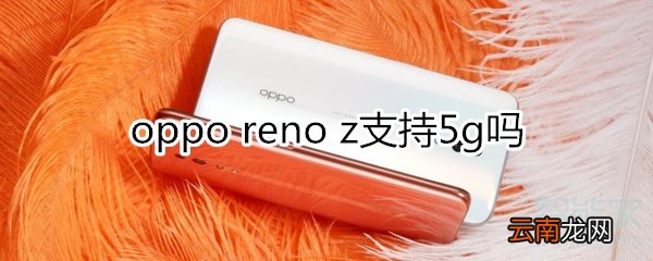 oppo 新机reno z支持5g吗
