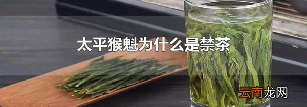 太平猴魁为什么是禁茶