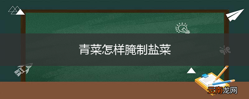 青菜怎样腌制盐菜