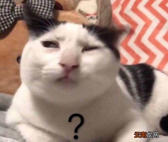 问号是怎么来的？