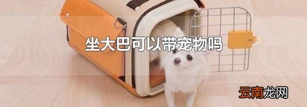 坐大巴可以带宠物吗