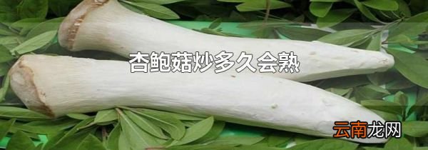 杏鲍菇炒多久会熟