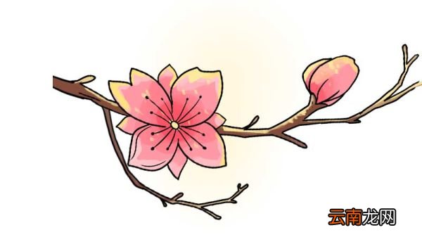 桃花简笔画 桃花简笔画怎么画